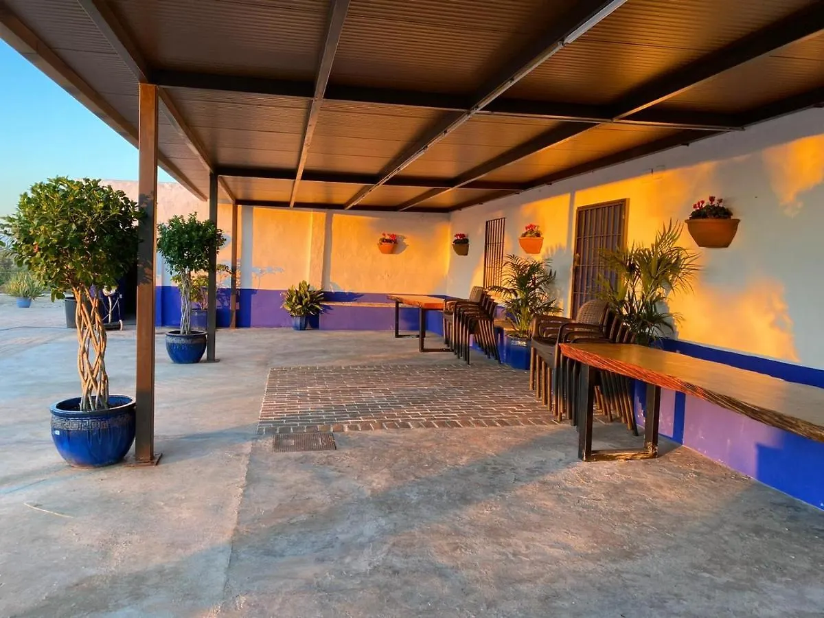 La Casa Del Olivo Villa Ecija Holiday home